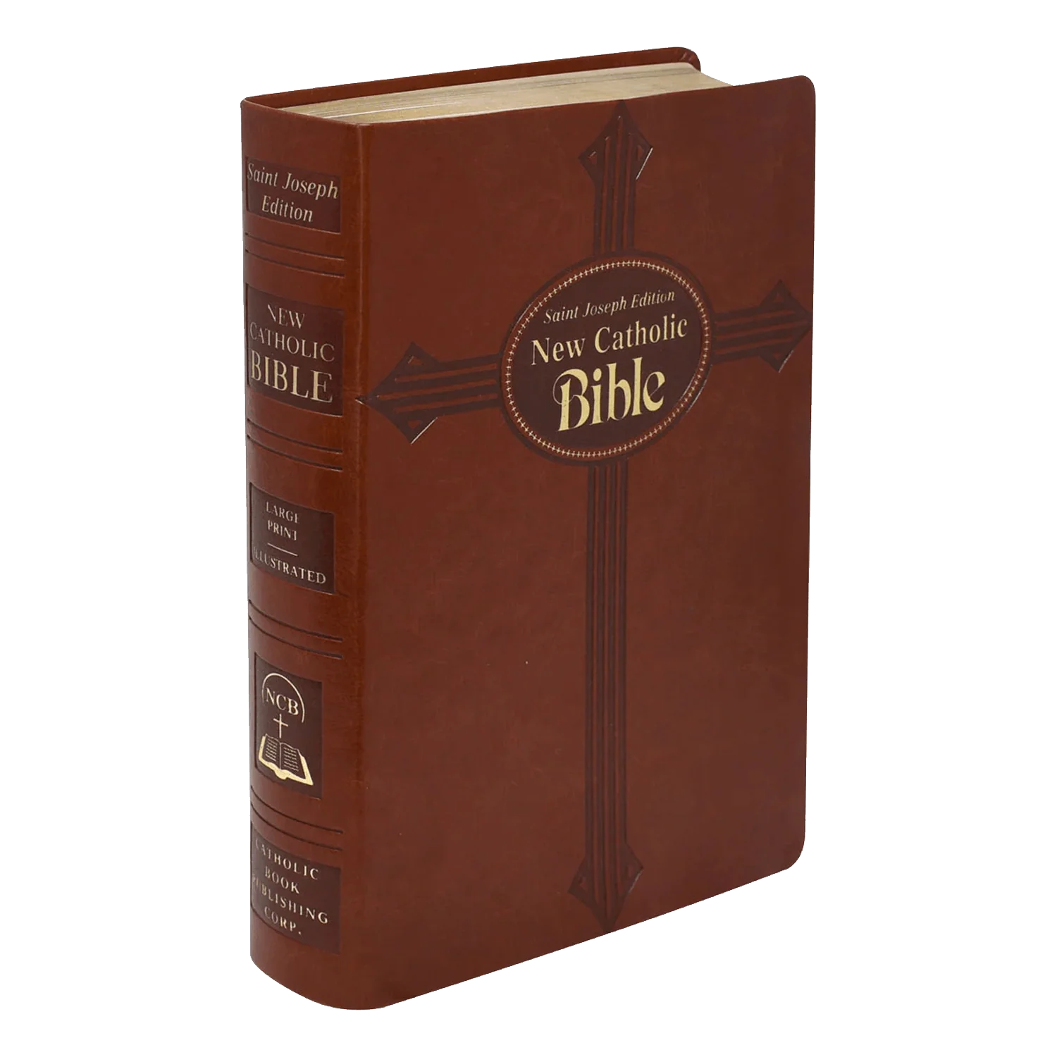HOLY BIBLE - GIFT EDITION - ENGLISH